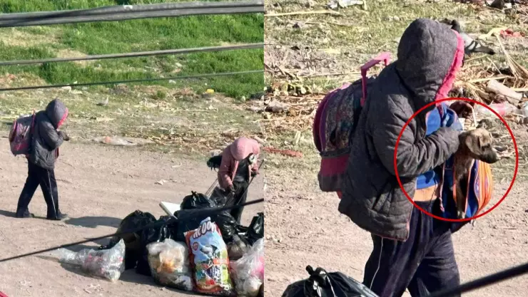 Multa por comer perros en Querétaro: pareja de indigentes en Santa María Magdalena