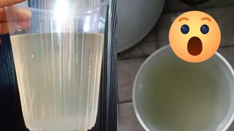 ¿Dónde reportan que sale el agua de la llave en color verde en Aguascalientes y por qué