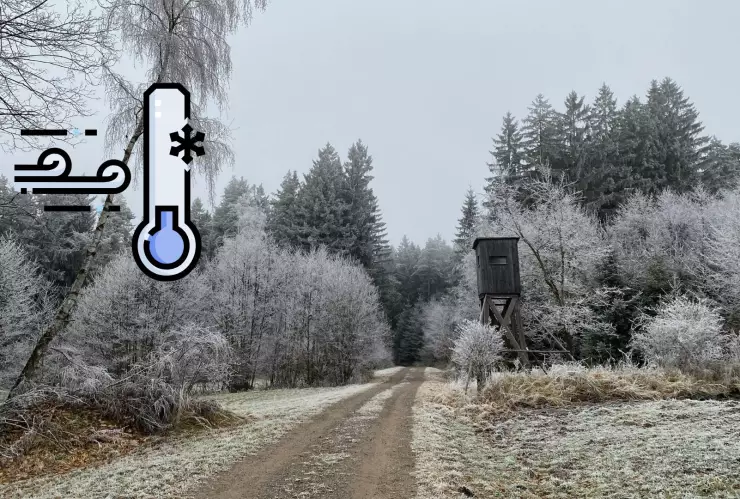 ¿Cuáles estados tendrán temperaturas bajo cero en México en diciembre 2025 Esto dice el pronóstico del frío