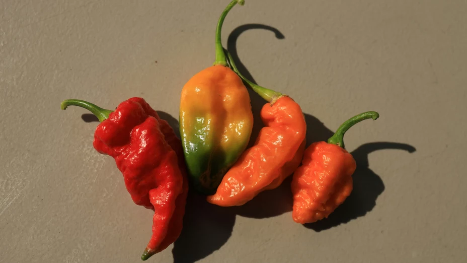 Día Internacional de la Comida PicantePor qué y cómo celebrarlo este 16 de enero