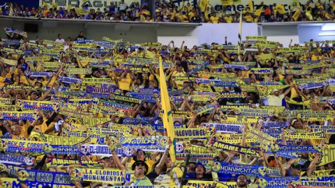 Aficionados del América