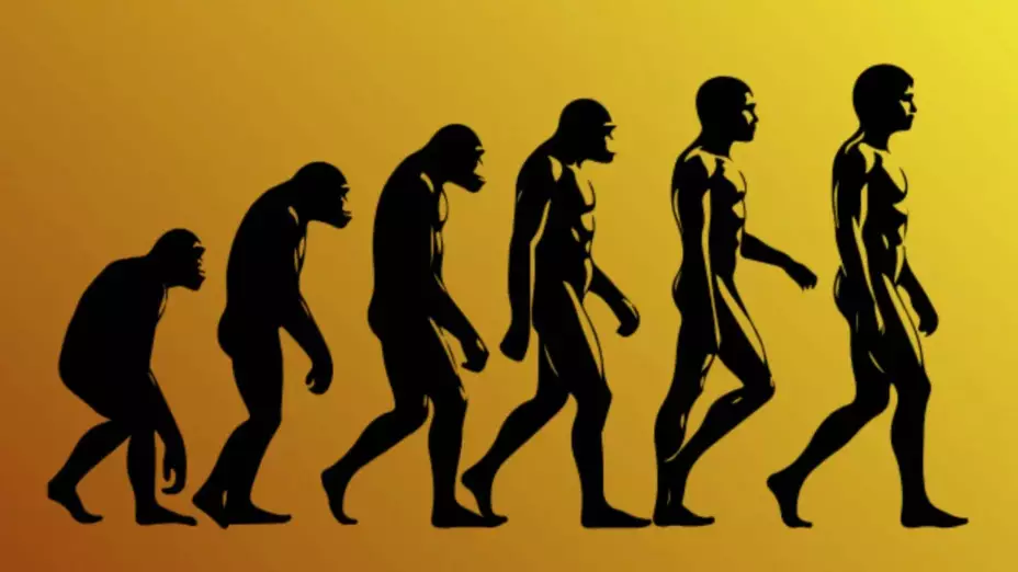 Efemérides del 24 de noviembre: ¿Qué sucedió en México y el mundo?