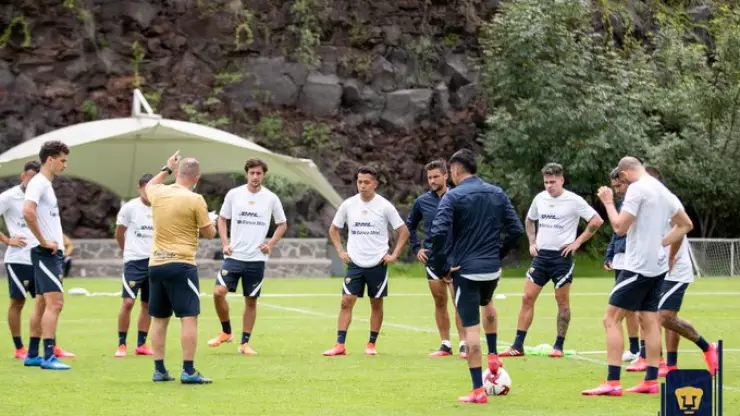 pumas liga mx