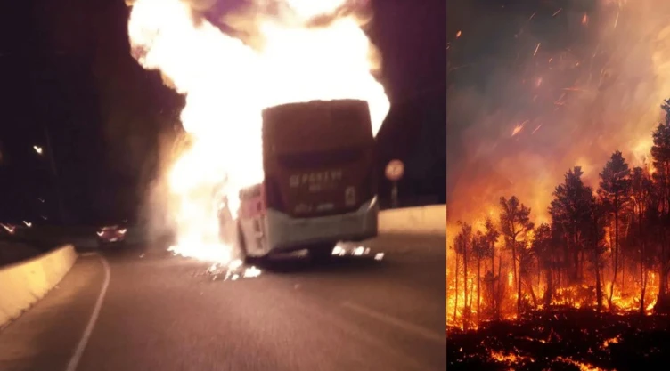 Nuevo ataque incendiario reivindica la causa mapuche