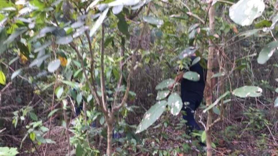 Autoridades estatales inician búsqueda de desaparecido