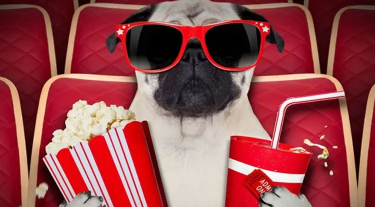 perros cine texas
