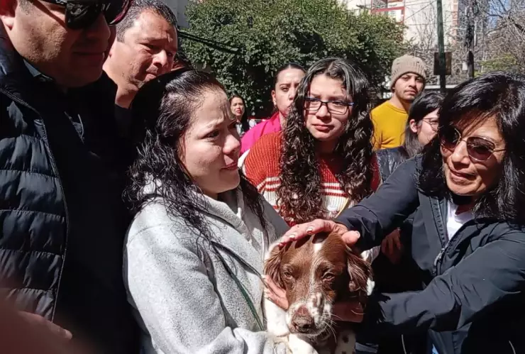 Secuestran a perrito Bruno en una veterinaria clandestina de la Condesa, CDMX