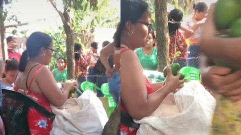 Abuelita regala decenas de aguacates a sus invitados