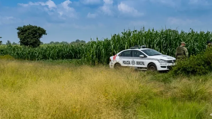 calcinado tlx