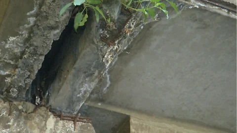 puente1.jpg