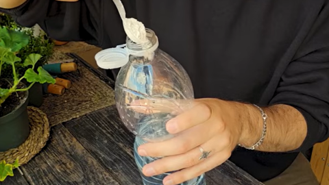 harina de arroz para plantas .png