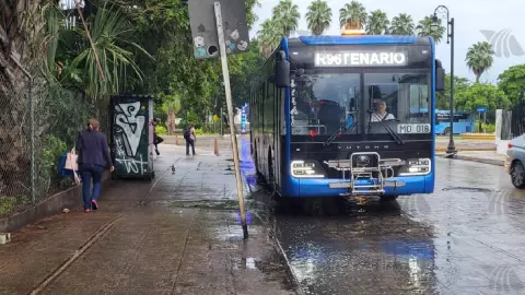 El AVISO del transporte público en Yucatán ante la cercanía del Huracán Milton