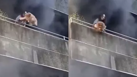 Momento en el que mujer salva a sus perros de un intenso incendio en un edificio queda grabado en VIDEO