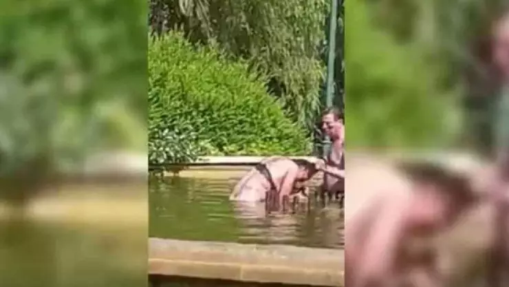 Video Hombre intenta ahogar a mujer en fuente de España