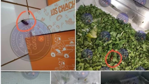 TAQUERÍA LOS CHACHALACOS CON PROBLEMAS DE PLAGA DE CUCARACHAS .jpg