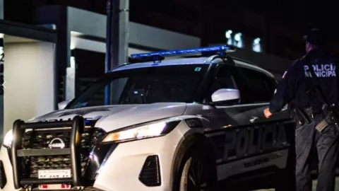 Parulla de Tijuana en la noche