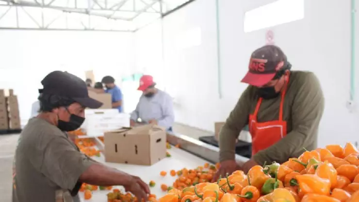 Quintana Roo disminuye pobreza laboral, reconoce l Coneval