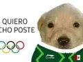 6. Memes Mexico Brasil .jpg