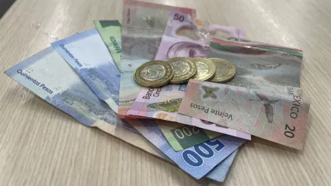 Aguinaldo digno: Senadoras del PVEM proponen aumentar de 15 a 30 días esta prestación