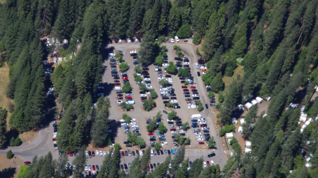Este es el Costco de México que podría tener un bosque en su estacionamiento
