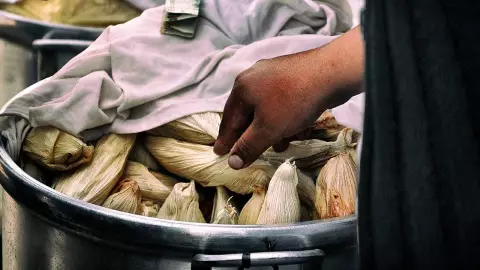 Feria del Tamal en alcaldías de la CDMX este Día de la Candelaria 2024