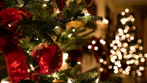 Cómo preparar un aromatizante casero esta Navidad con sólo 2 ingredientes