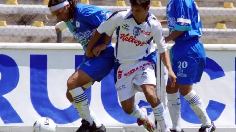 Colibríes de Morelos