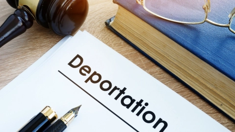 Delitos ICE migrantes