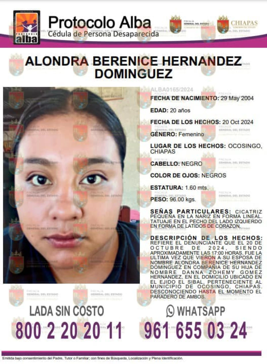 Alondro Berenice Protocolo Alba