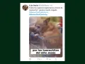 memes masterchef celebrity programa 15 (29).jpg