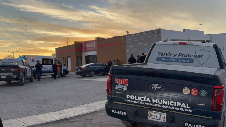 Marketplace Chihuahua.jpg