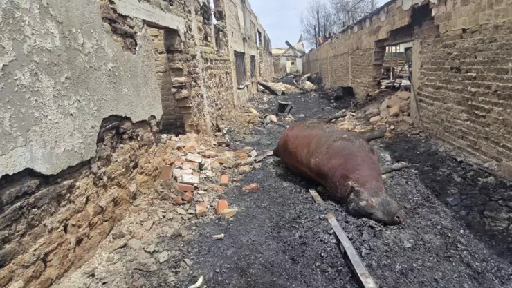 Incendio predio Ciudad Juárez
