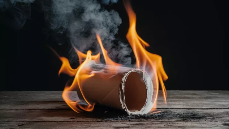 Por qué debes quemar el tubo de cartón del papel higiénico.jpg