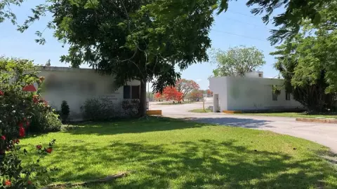 empleado muere triturado planta de cal