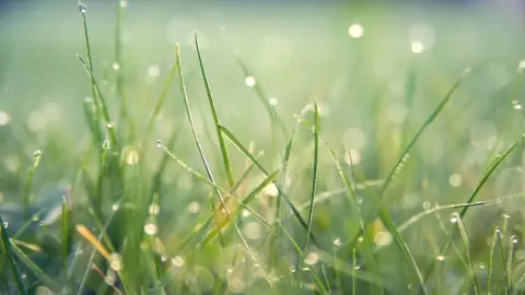 Clima en Morelos hoy