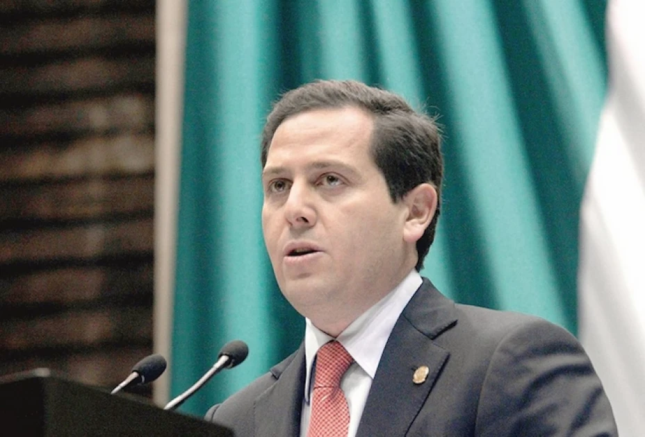 Pumas presidente