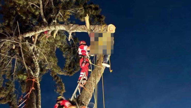 Hombre es prensado por rama de árbol en Tehuacán