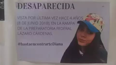 Diana Piggeonountt desapareció el 8 de junio del 2018 en Tijuana