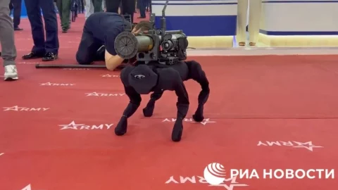 Perro robot Rusia.jpeg