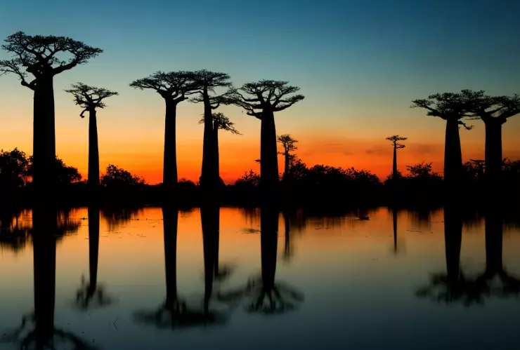 5. Madagascar | Imagen, Depositphotos