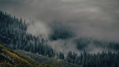 Frente Frío 27 en Zacatecas: el SMN pronostica bajas temperaturas y heladas en los próximos días