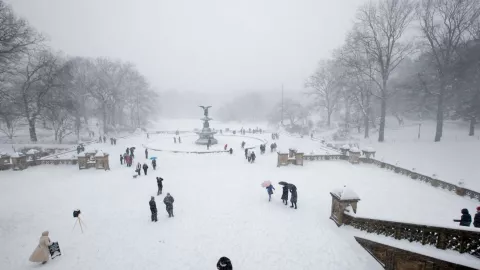 Caída de nieve en EUA