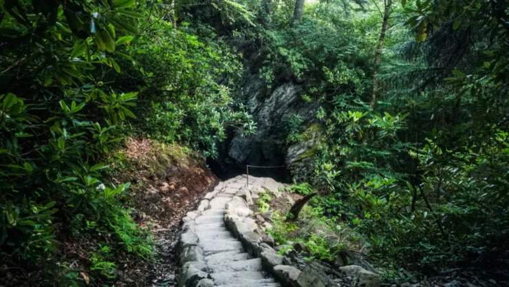 Un sendero que lleva a una cueva.