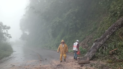 Noticias Chiapas fin de semana