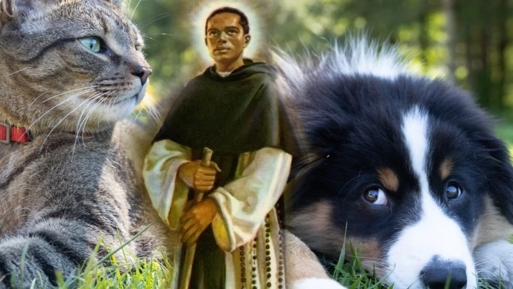 San Martin de Porres