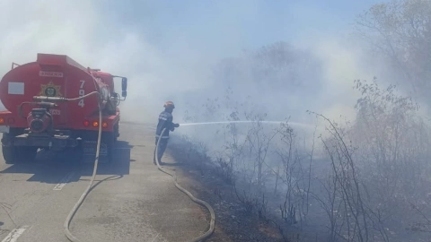 Incendio en Mérida - Tetiz: ¿Qué se sabe del siniesto ocurrido hoy viernes 18 de abril de 2025_.jpg
