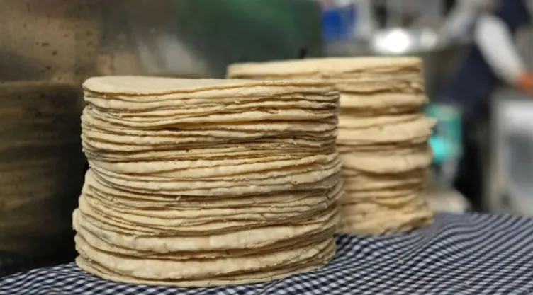 ¿Cuánto cuesta el kilo de tortilla en México abril 2025? Lista de costos por estado