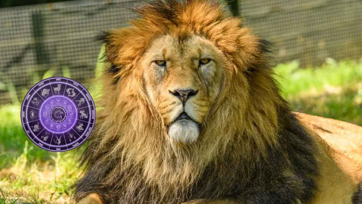 Horóscopo mensual Leo ¿Qué le depara a tu signo en marzo 2025?