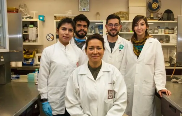 Día de la Mujer y la Niña en la Ciencia