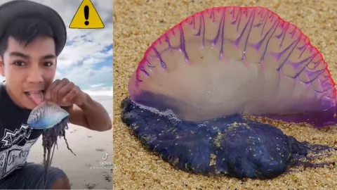 medusa, TikTok, joven.jpg